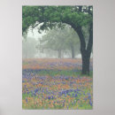 Recherche de brouillard posters Météo