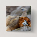 Recherche de singe badges Faune