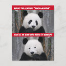 Recherche de panda drôle cartes postales Mignon