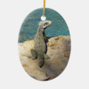 Recherche de iguane ornements Tropical
