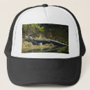 Search for alligator hats Reptile