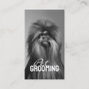 Search for pet portrait business cards Dog walker