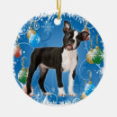 Search for boston ornaments Tree