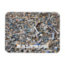 Recherche de coquille de plage magnets Sable
