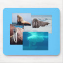 Search for polar bear mousepads Nature