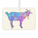 Search for funky car air fresheners Colourful
