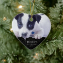 Search for new puppy ornaments Modern