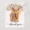 Search for baby cow postcards thank you