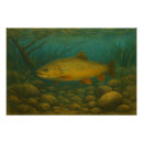 Search for trout posters Fish