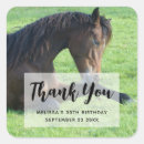 Search for lay stickers Equestrian