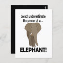 Recherche de savane cartes postales Animal sauvage