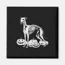 Recherche de whippets magnets Gothique