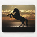 Recherche de colt tapis souris Mare