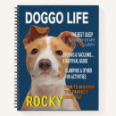 Recherche de pitbull carnets Amoureux des chiens