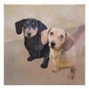 Recherche de dachshund art posters Dog