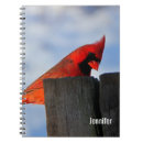 Search for cardinal notebooks Songbird