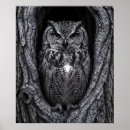 Recherche de illustration hibou posters Noir et blanc