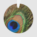 Search for peacock ornaments Retro