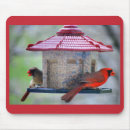 Search for cardinal mousepads Male