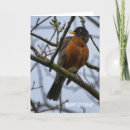 Recherche de de merle vœux cartes Observation des oiseaux