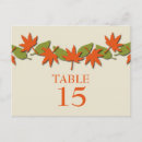 Recherche de quit cartes postales Chute