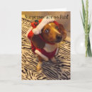 Recherche de dachshund christmas cards Pet