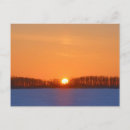 Search for winter trees horizontal postcards Snow