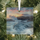 Search for carmel california ornaments Pacific ocean