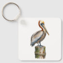 Search for pelican keychains Coastal