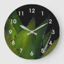 Search for macro leaf Foliage