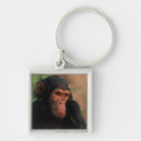 Search for kristin keychains Park