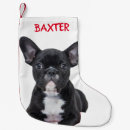 Search for french bulldog christmas stockings Xmas