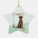 Search for chocolate lab ornaments Labrador retriever