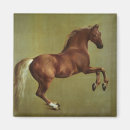 Recherche de stubbs magnets Cheval