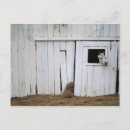 Recherche de porte grange cartes postales Animal