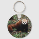 Recherche de red panda gifts Bear