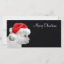 Search for bichon christmas cards Xmas