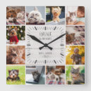 Recherche de pets horloges Pour animaux
