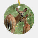 Search for tail ornaments Deer