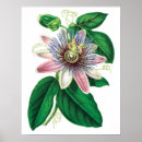 Recherche de copie de rose jaune Vert