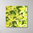 Search for kitchen herb art Garden