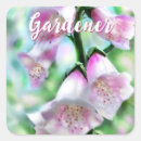 Search for cottage garden stickers Flowers