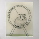 Recherche de hamster posters Dessin
