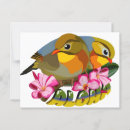 Recherche de oiseau rouge cartes postales Amour