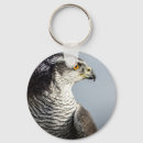 Search for peregrine falcon keychains Falconry