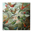 Recherche de oiseaux vintages carreaux Forêt tropicale