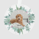 Search for pet memorial ornaments Sympathy