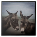 Search for mule tiles Donkey