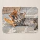 Search for tabby cat blankets Kitten