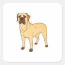 Search for boerboel Dog